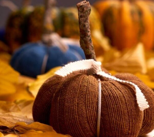 Blog Calabazas decorativas para otoño